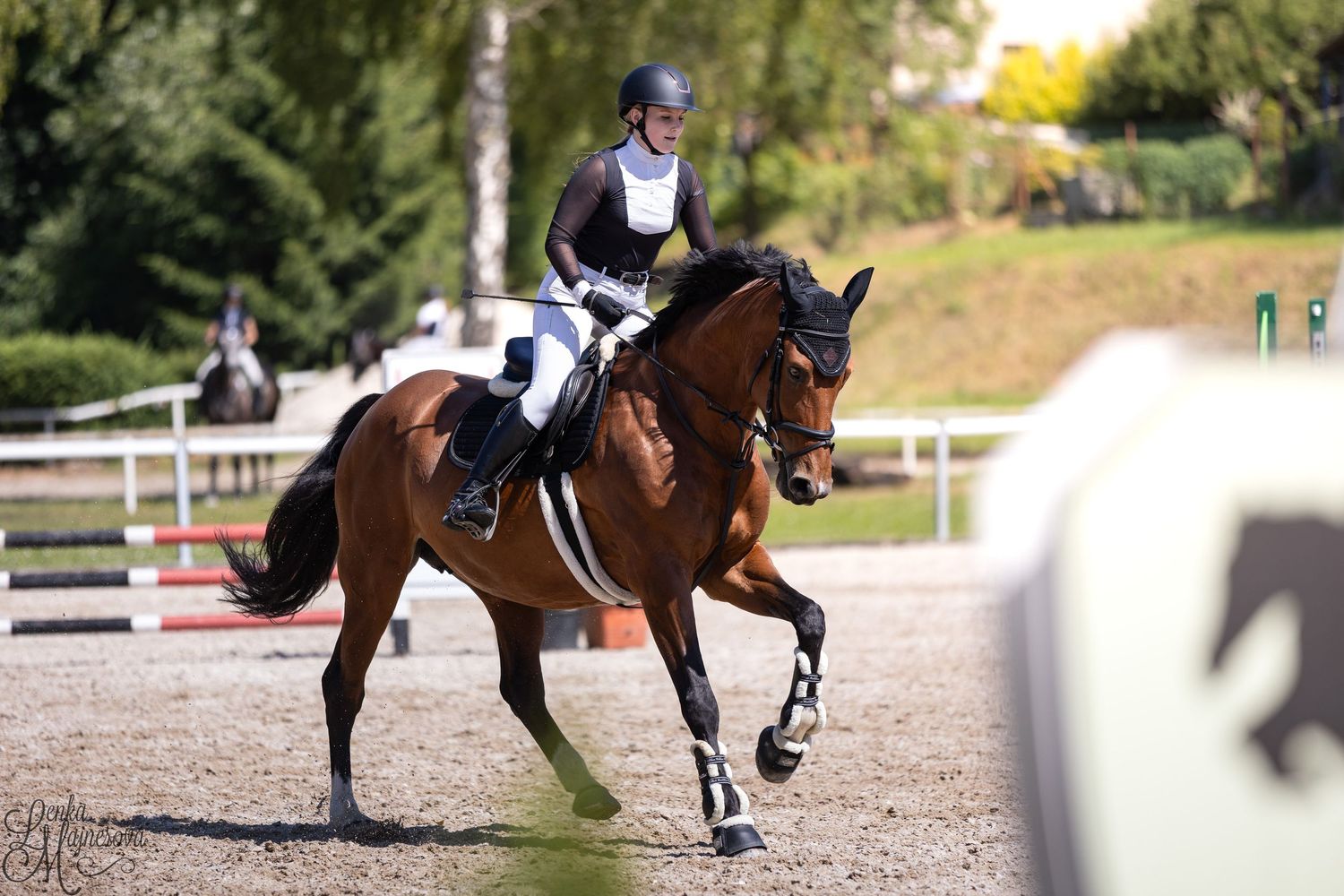 A series of equestrian dressage riders performing movements on their horses in an outdoor arena during competition.