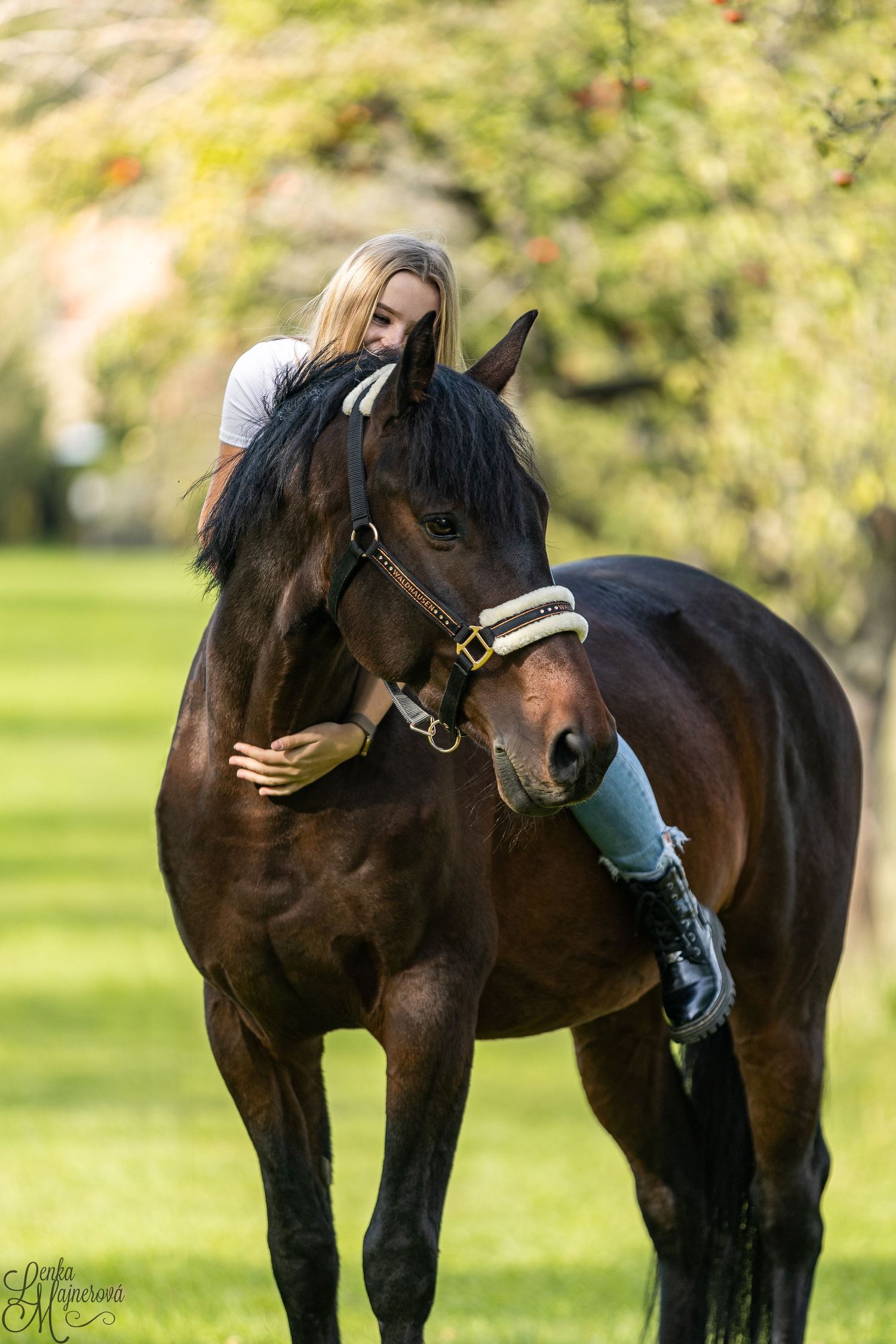 A dark bay horse receives affection from companion in a sunlit garden setting.