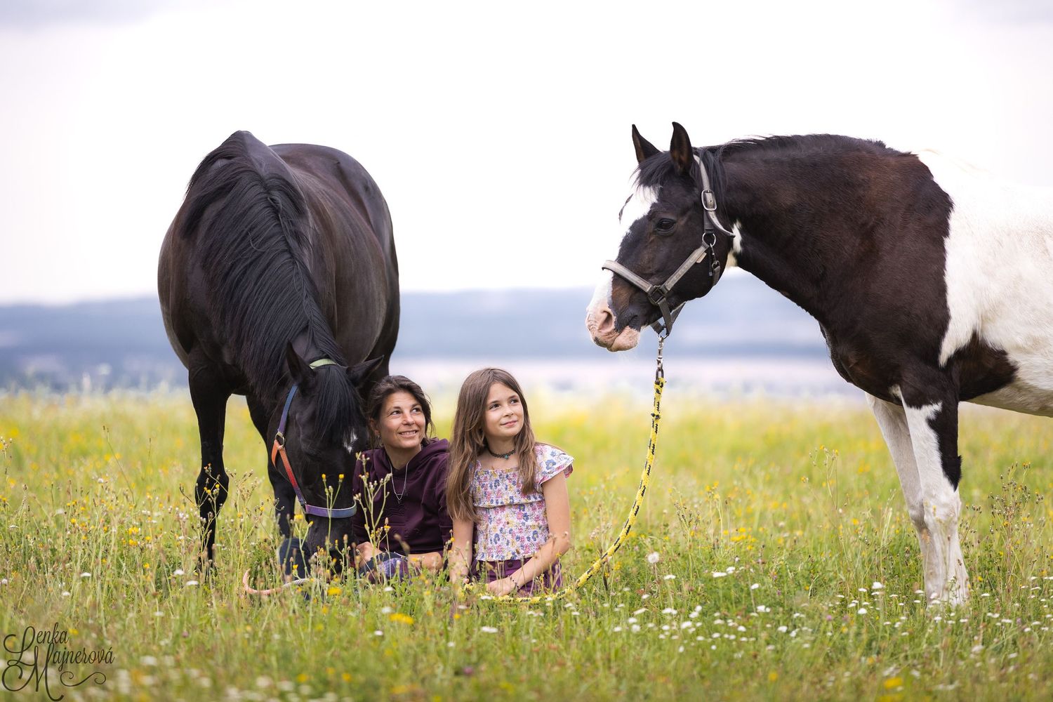 A sequence of photos showing a horse grazing in a meadow with wildflowers and people enjoying the scenery.