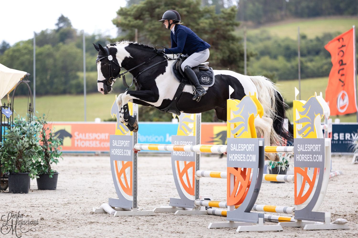 Equestrian rider jumps over orange and white obstacles during a show jumping competition at an outdoor arena.