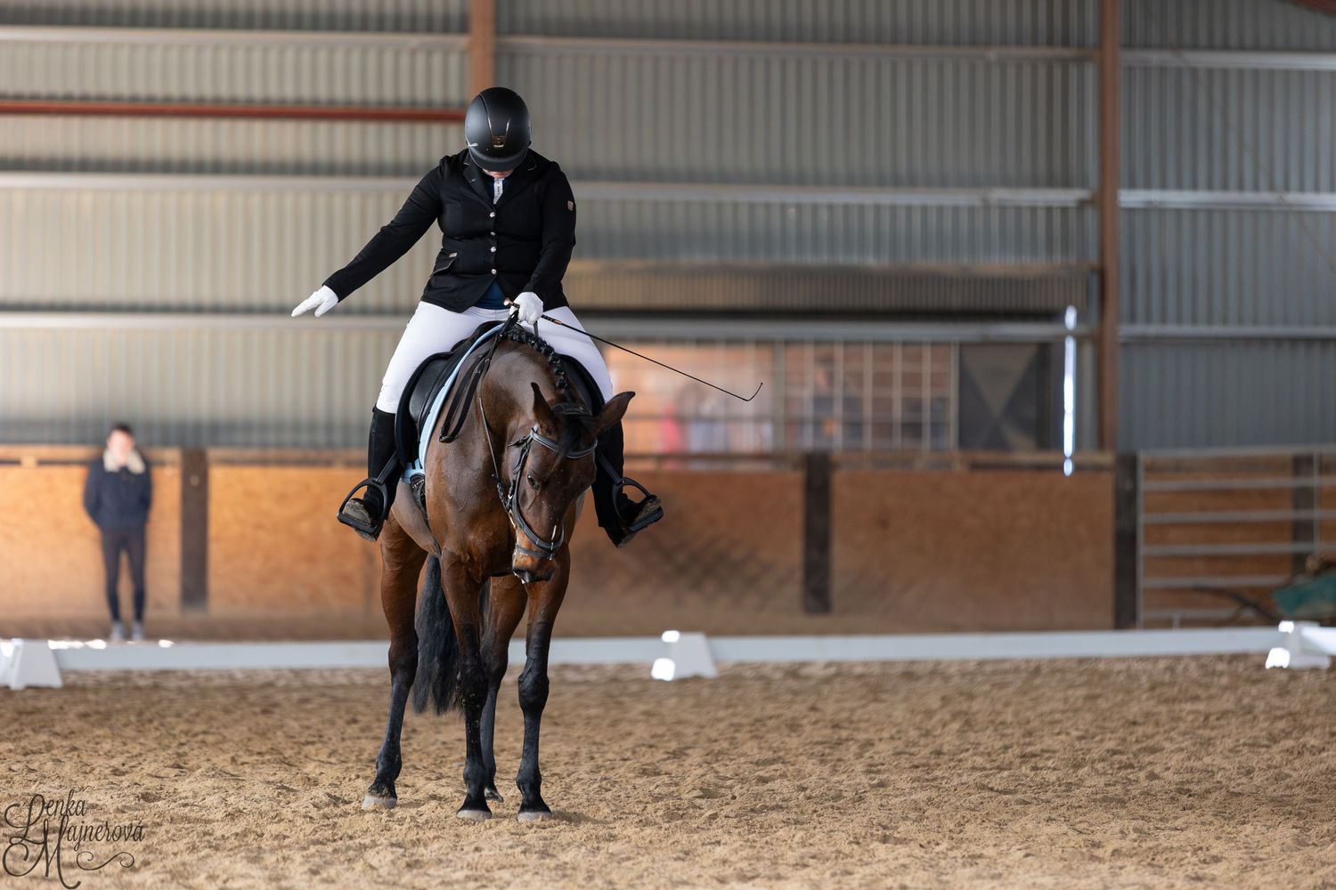 Equestrian athlete riding dark horse during indoor dressage training session.