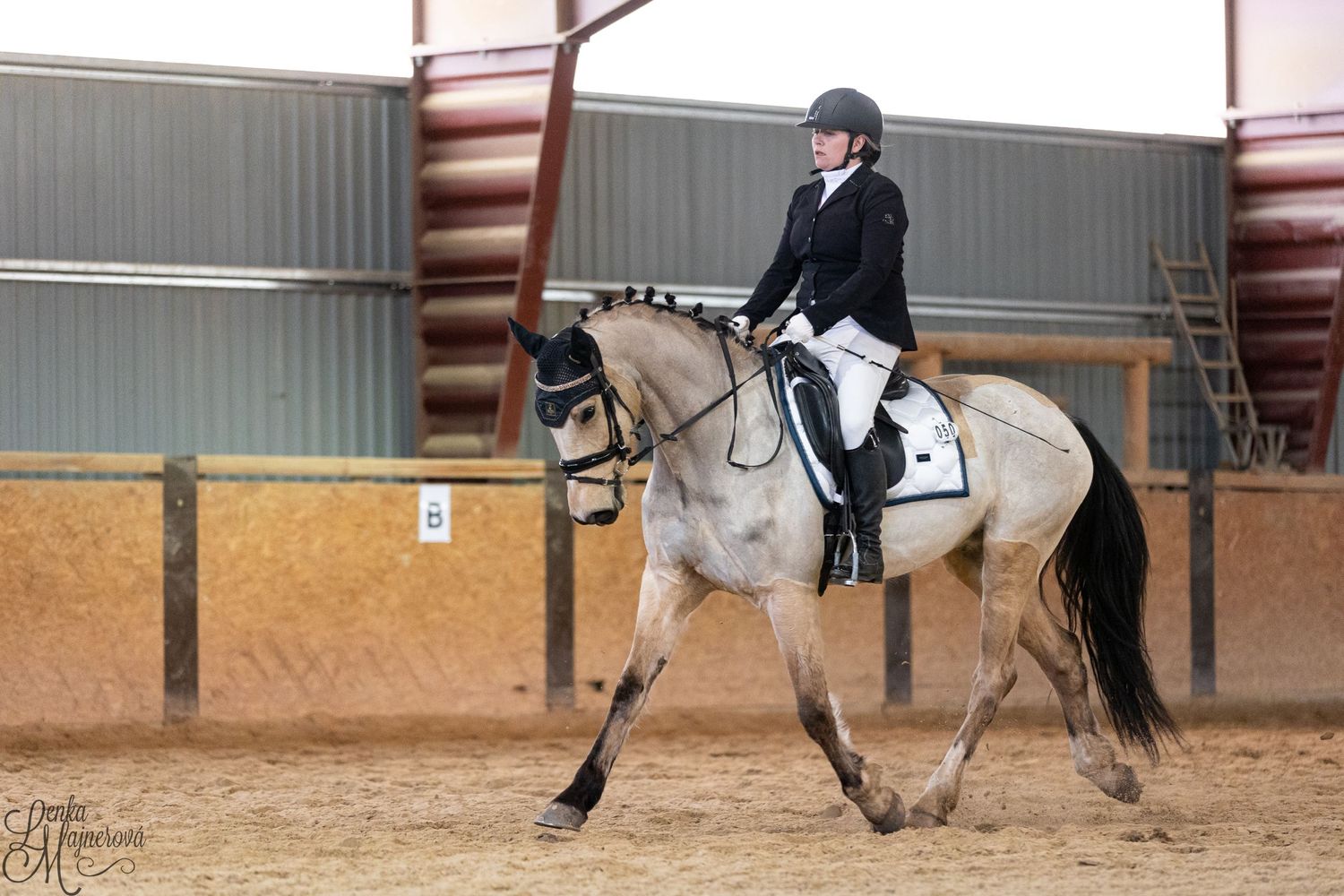 Equestrian riding light colored horse in indoor arena during training session.