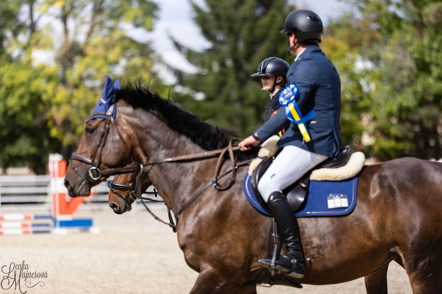 Equestrian rider in navy jacket and helmet guides brown horse through outdoor competition course.