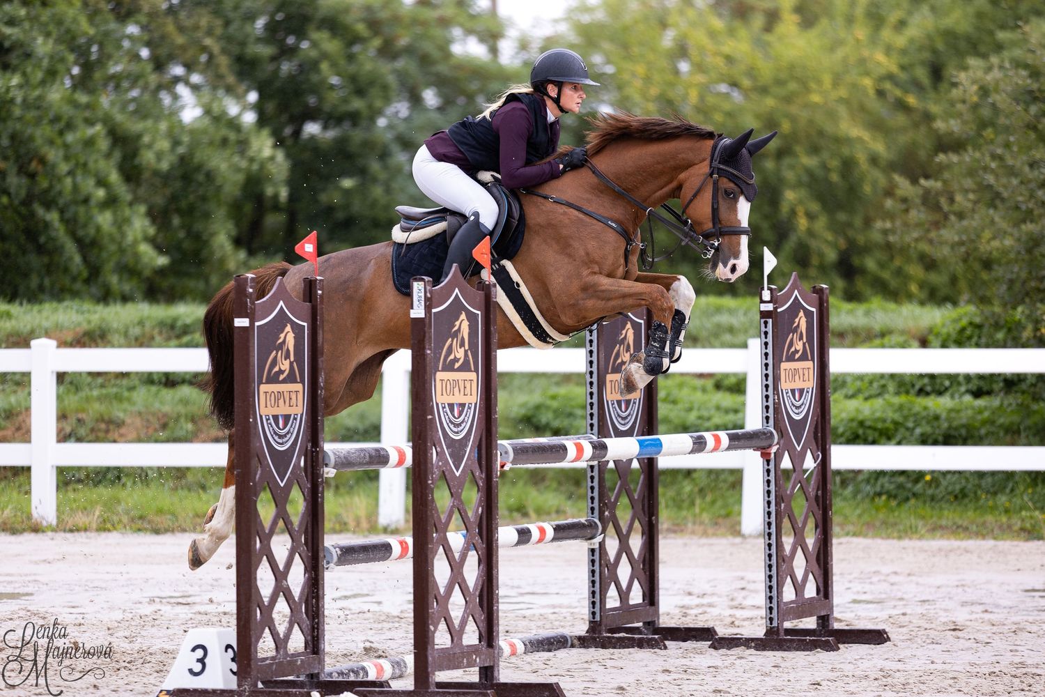 Equestrian rider and chestnut horse clearing a decorative show jumping fence during competition at outdoor arena.