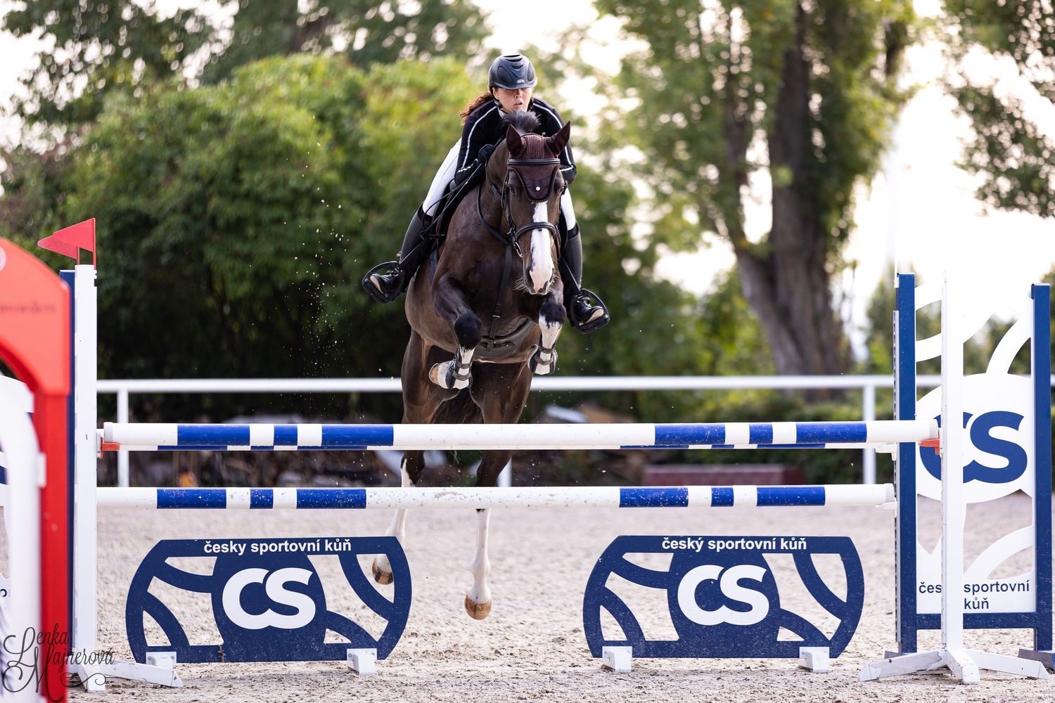 A horse and rider clearing a blue and white jump rail during an equestrian show jumping competition.