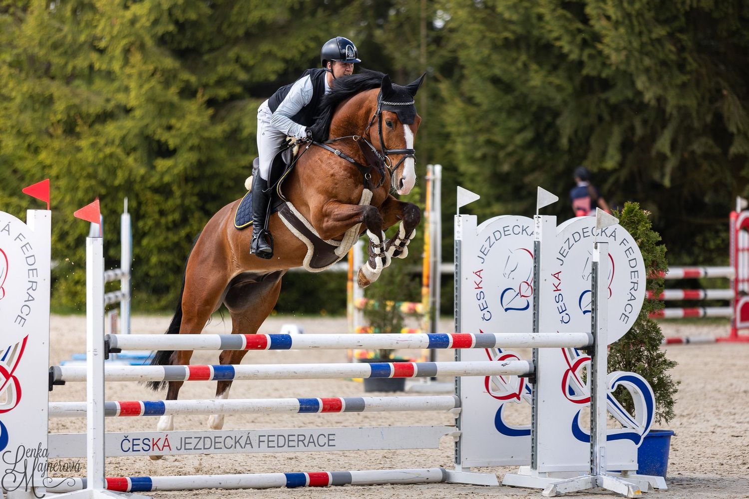 Horse and rider clearing a red and white show jumping fence during an equestrian competition.
