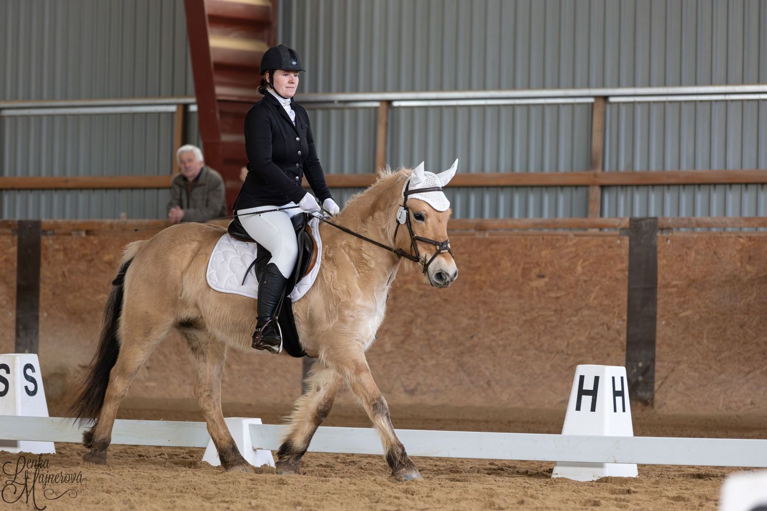 Equestrian rider performs dressage test with palomino horse in indoor arena.