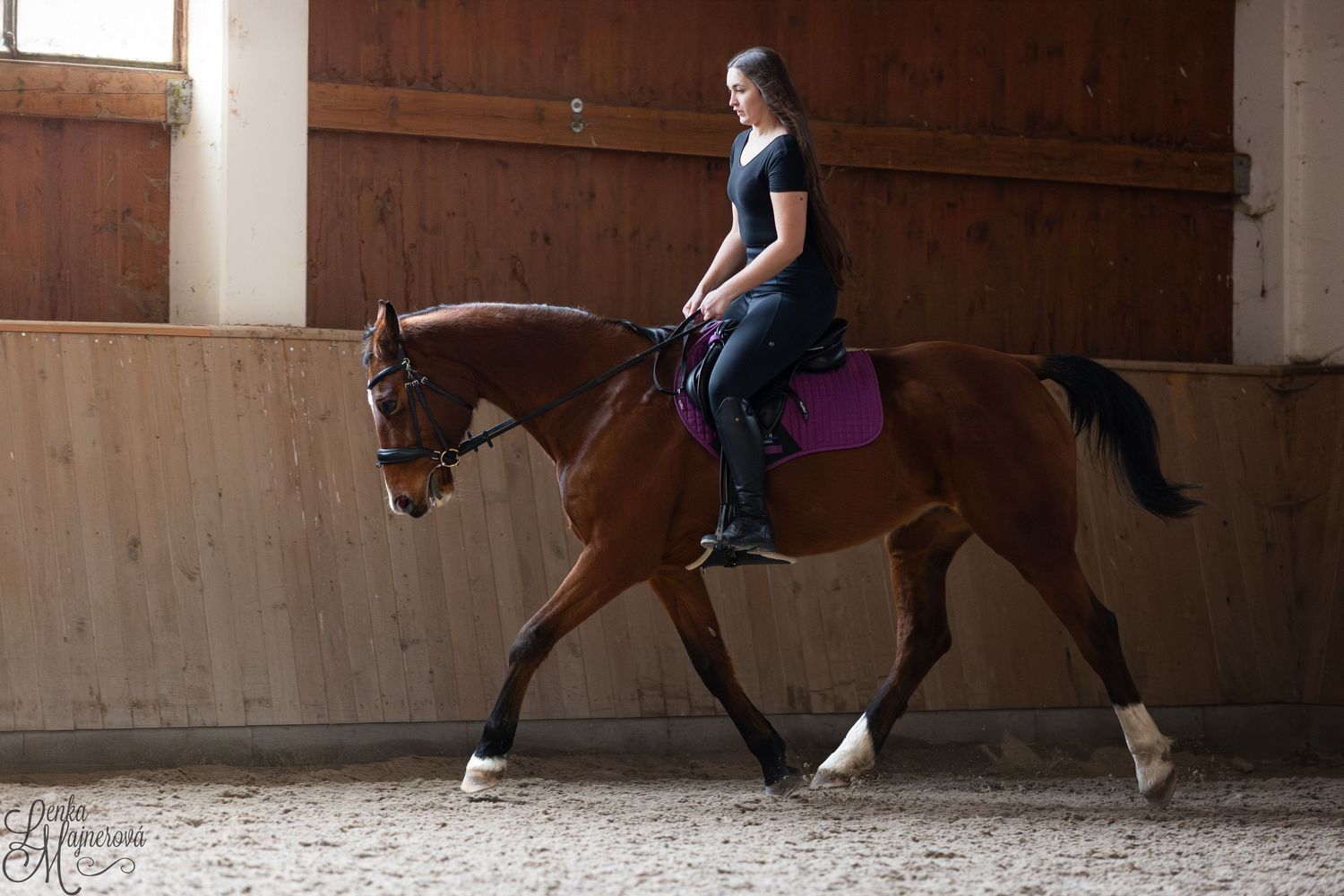 A rider in a blue shirt practices horseback riding on a brown horse in an indoor arena.
