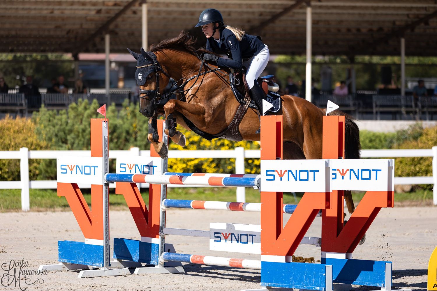 Chestnut horse and rider jumping over orange and blue SYNOT-branded obstacles in competition.