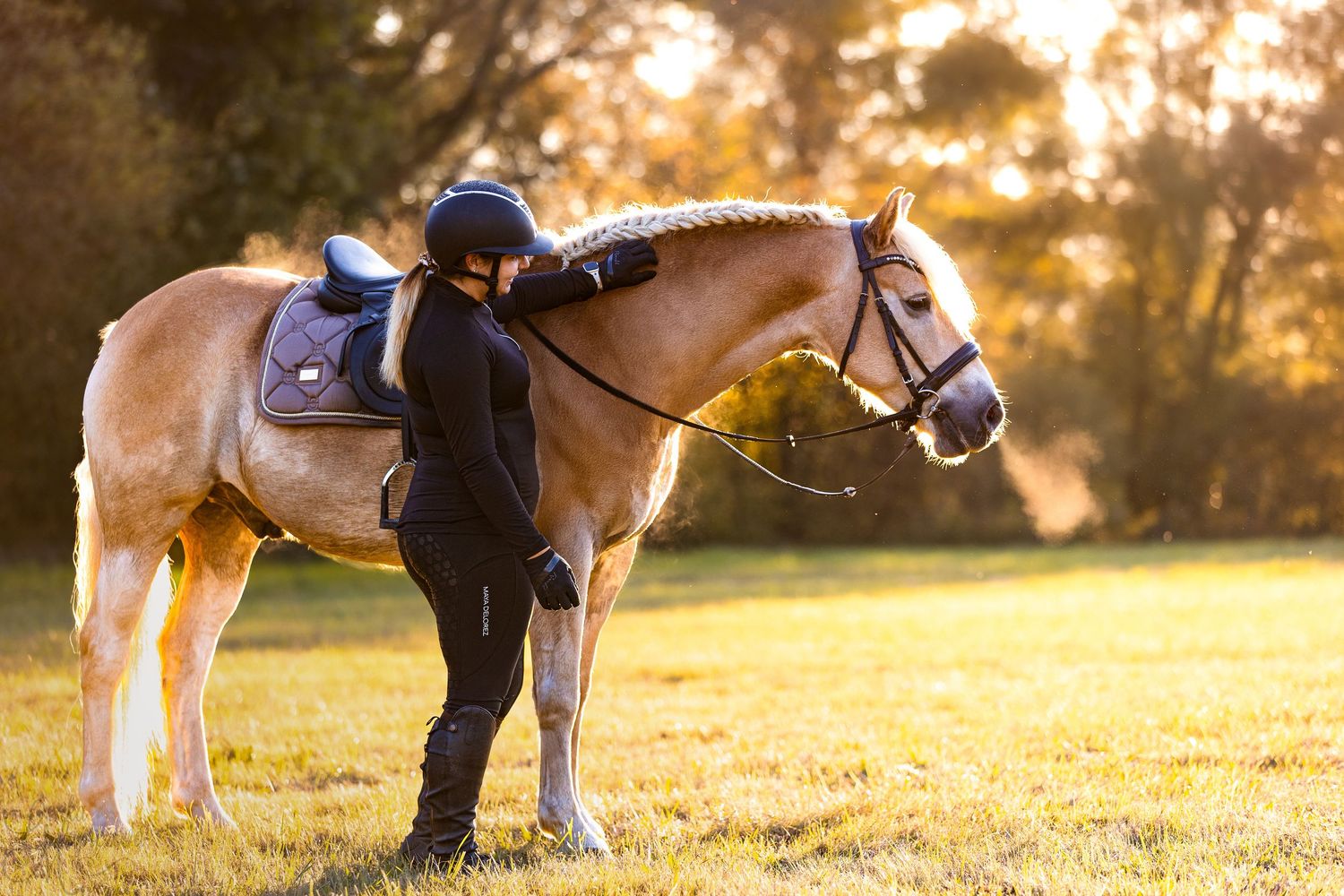 A dog owner and their pet practice training exercises in a golden-lit field at sunset.