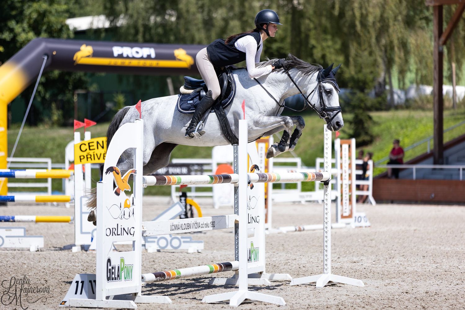 Horse and rider navigating a show jumping course with white poles and colorful obstacles in an outdoor arena.