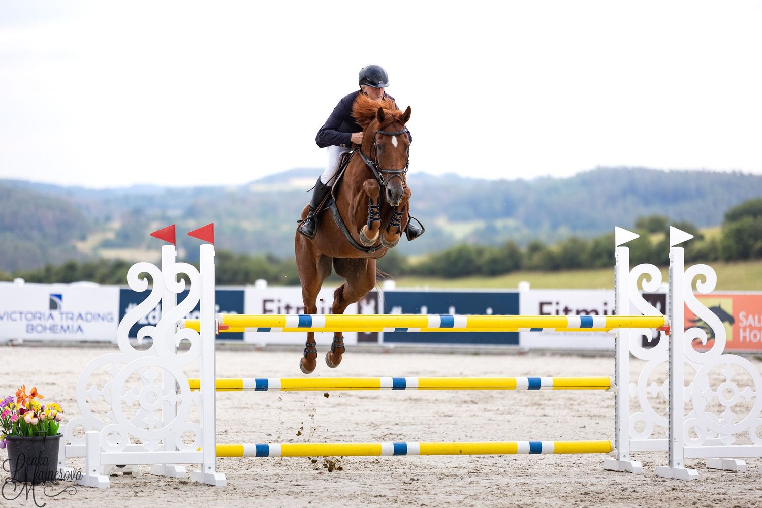 Horse and rider jump over yellow and white obstacles during an equestrian show jumping competition.