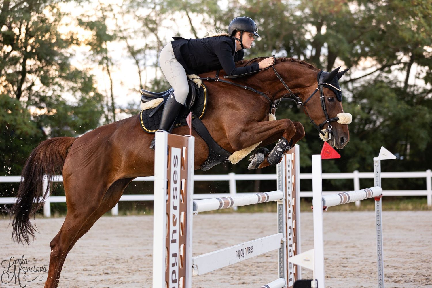 A horse and rider clear a jumping obstacle during an equestrian competition.