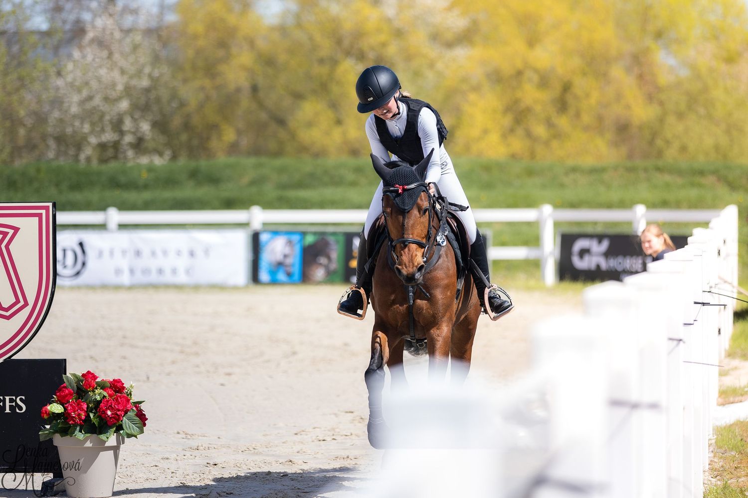 Equestrian rider in navy helmet and white vest guides brown horse through competition arena with red flowers visible.