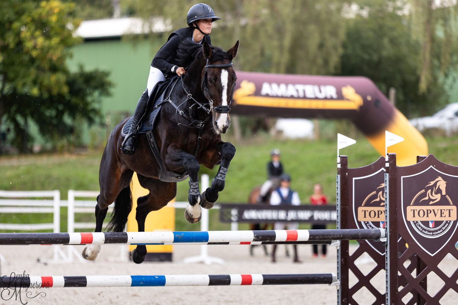 Equestrian rider jumping over a blue and white obstacle during a show jumping competition.