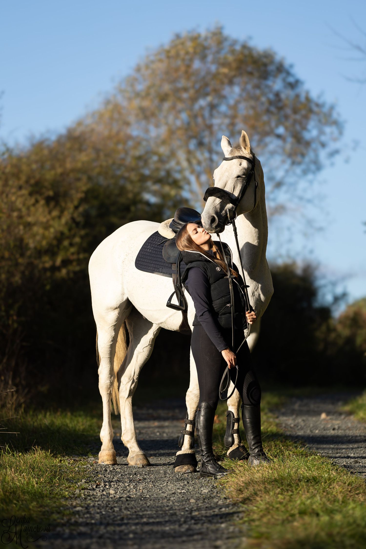 A graceful white horse and rider in black attire stand on a country path.