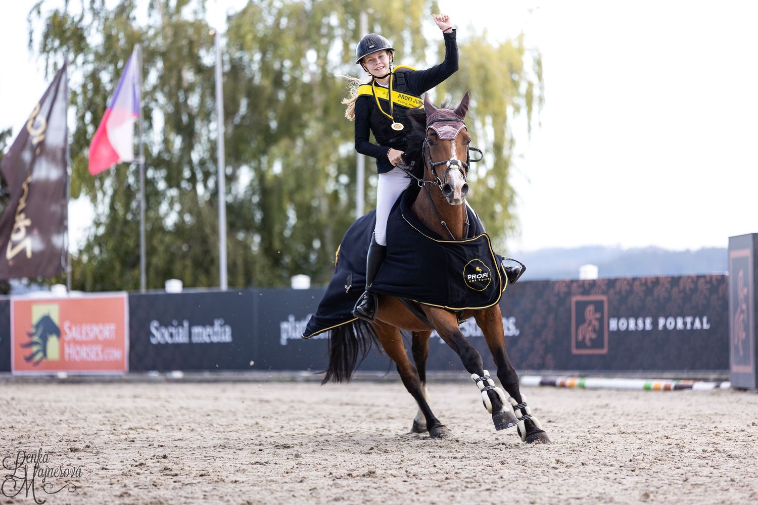 Equestrian rider performs dressage movements in an outdoor arena during a competition event.