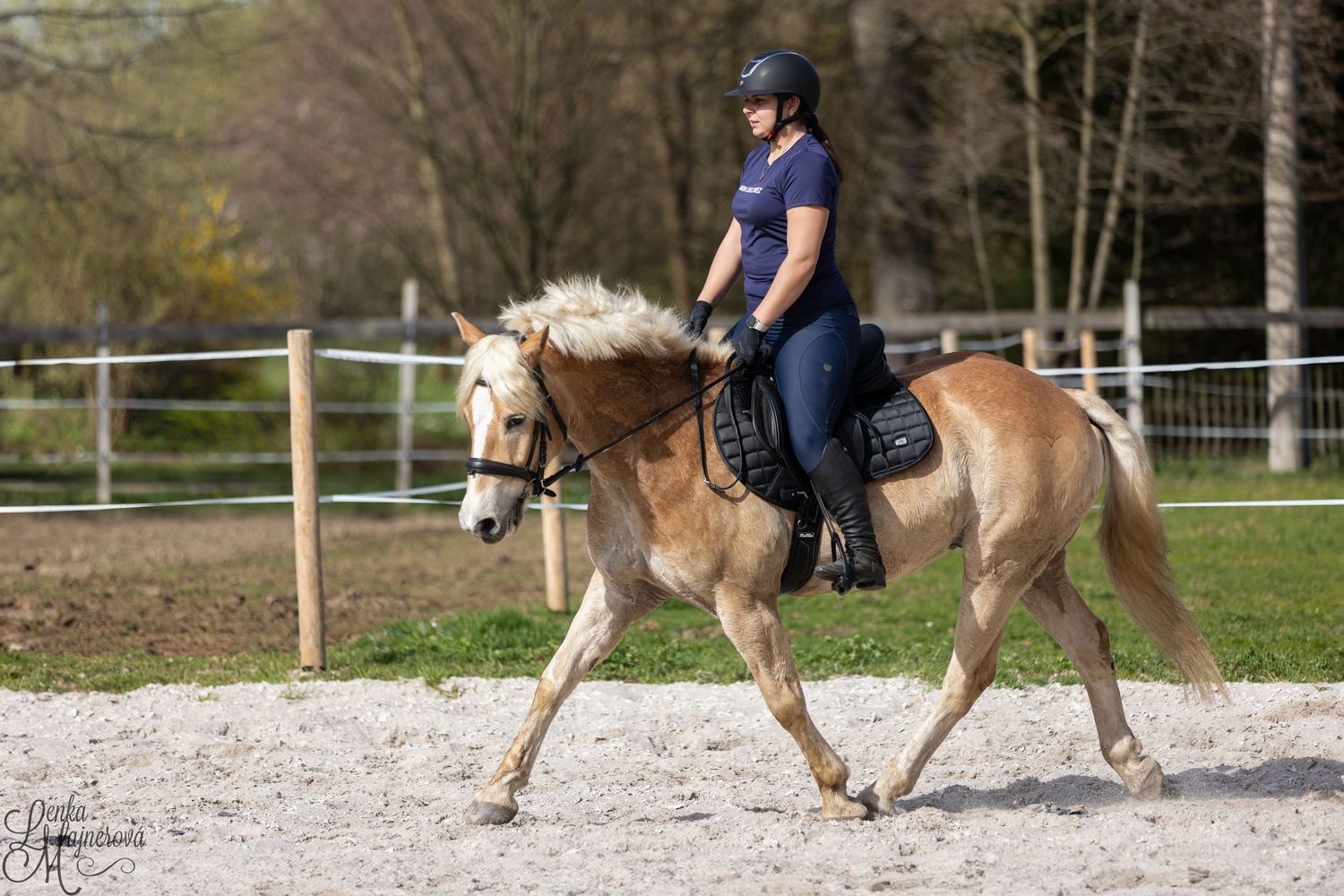 A rider in blue on a light-colored horse trots in a sandy arena.