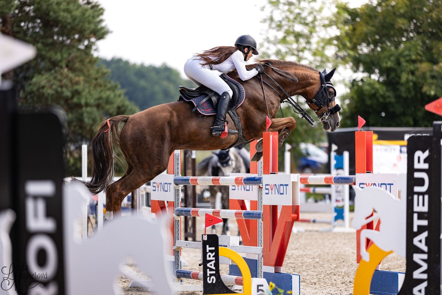 A rider guides their horse over a series of colorful show jumping obstacles during an equestrian competition.