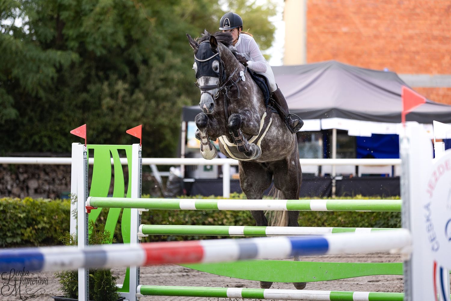 Horse and rider clearing a bright green and white show jumping fence during an equestrian competition.