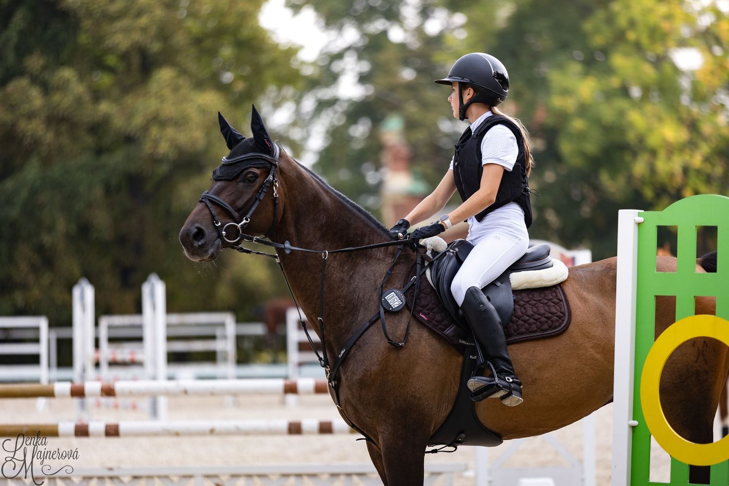 Equestrian rider navigating a show jumping course with a brown horse over white fences in an outdoor arena.
