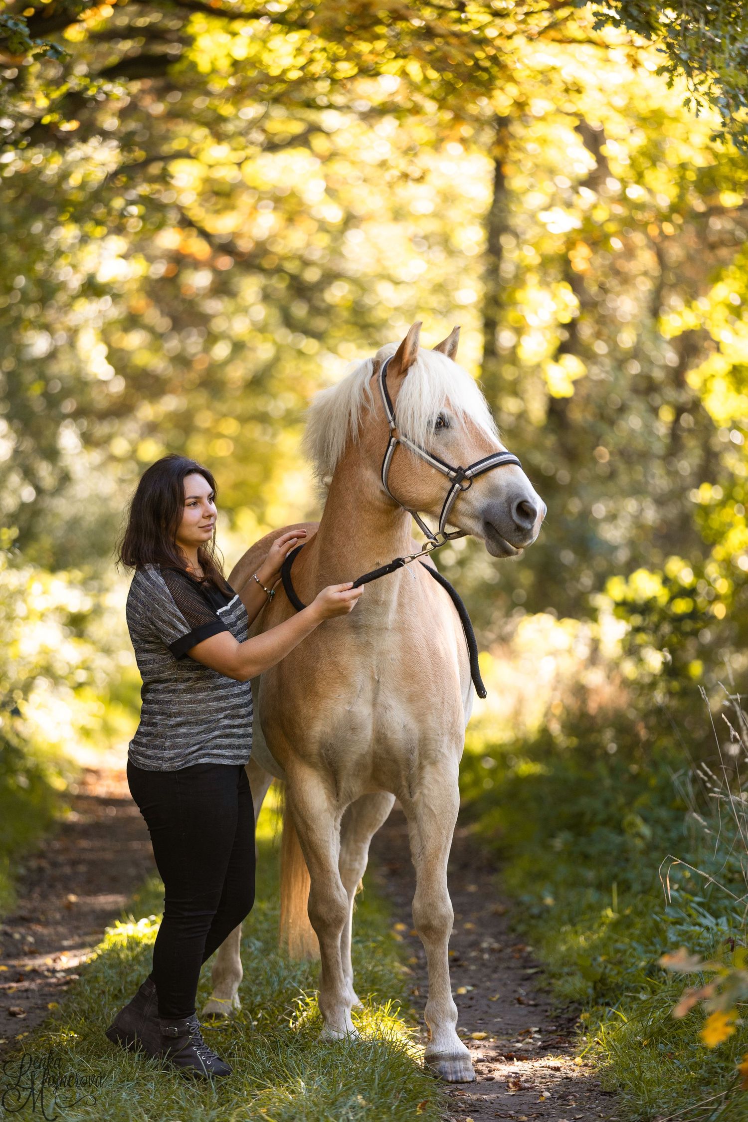 A majestic palomino horse stands on a sunlit forest trail with golden bokeh in the background.