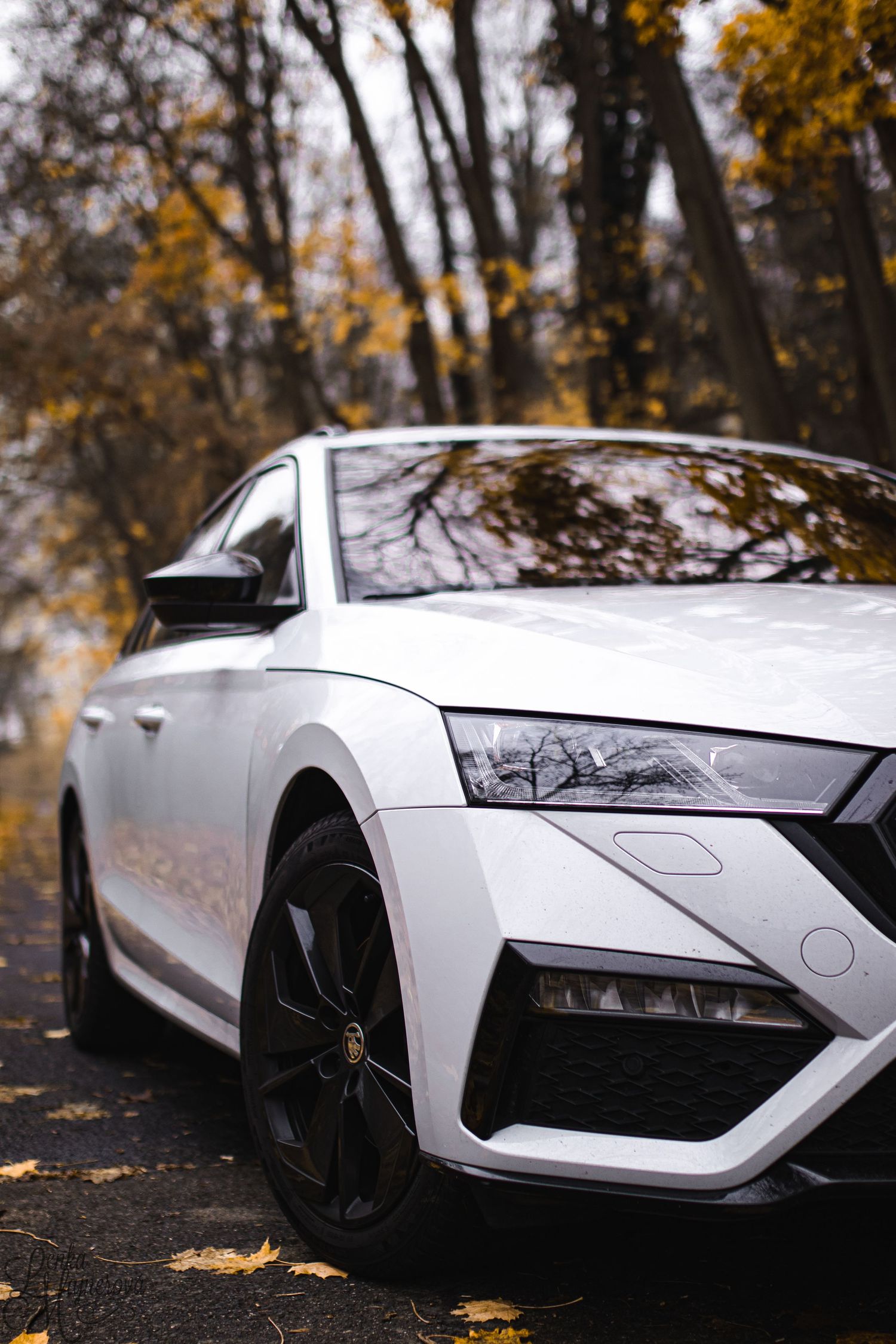 White luxury sports car front end photographed in autumn forest setting.