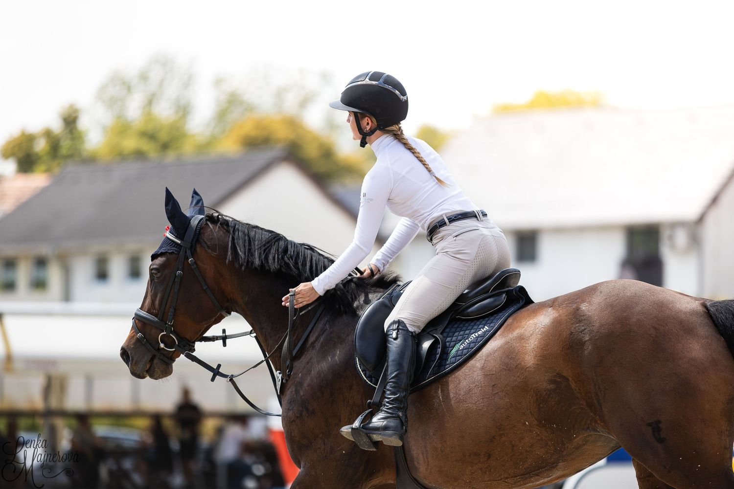 An equestrian rider in white attire and helmet guides a bay horse during a competition at sunset.