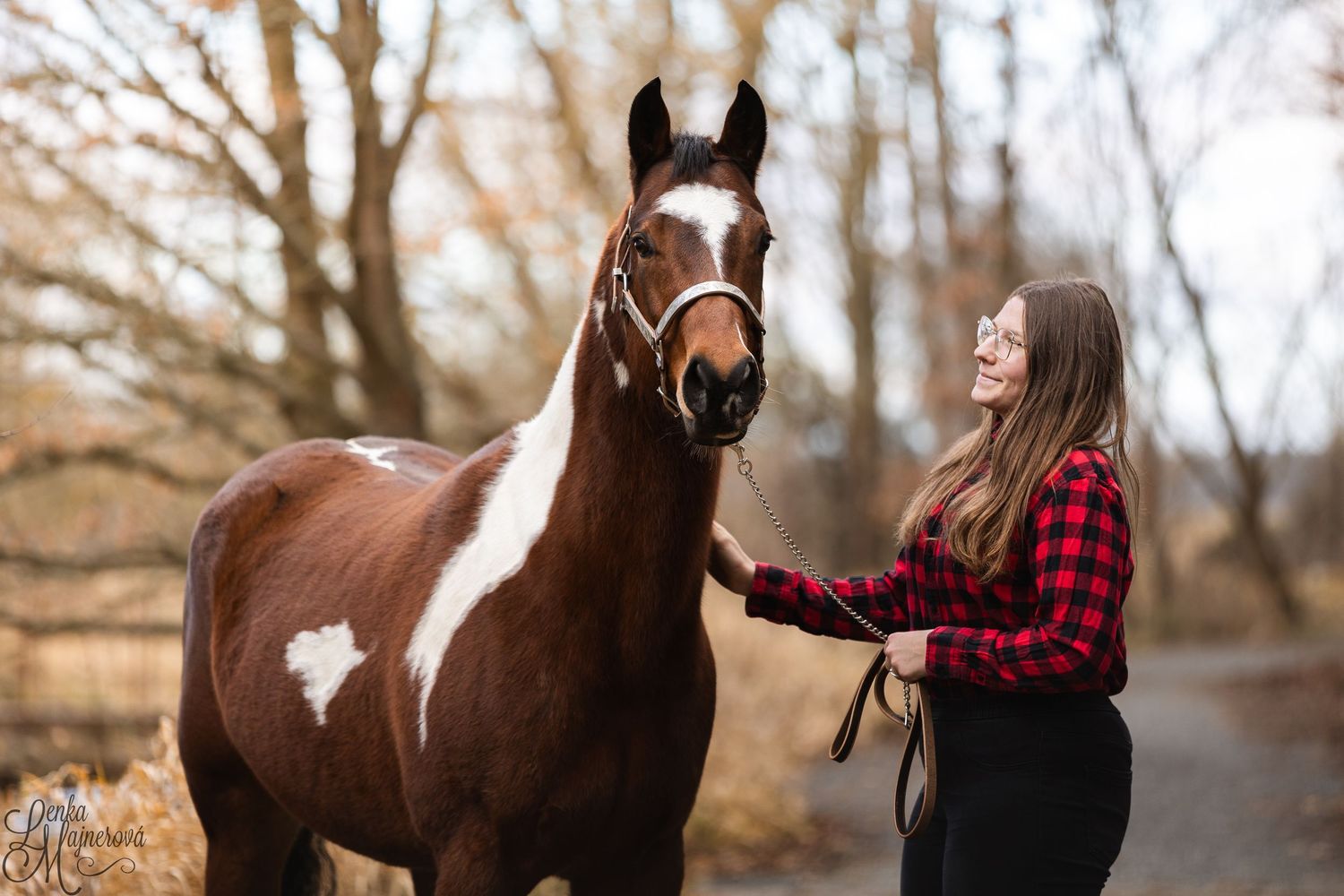 A person in a red plaid shirt stands with a brown and white horse in a wooded autumn setting.