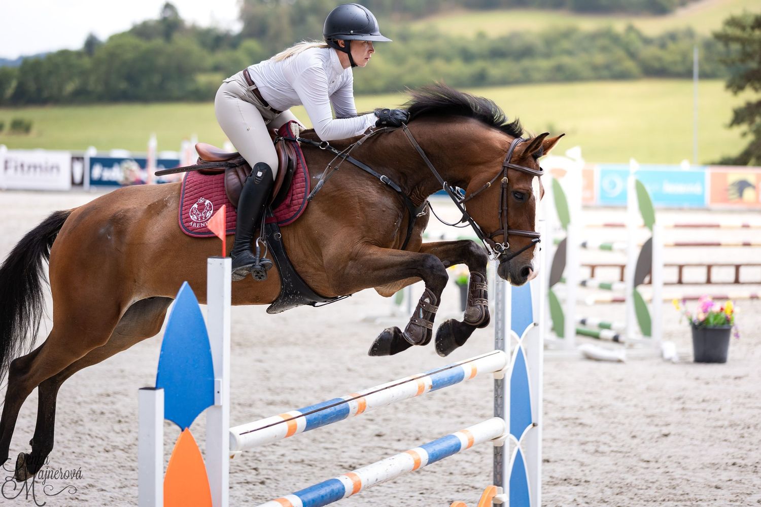 Horse and rider clearing a blue and white jump obstacle during an equestrian show jumping competition.
