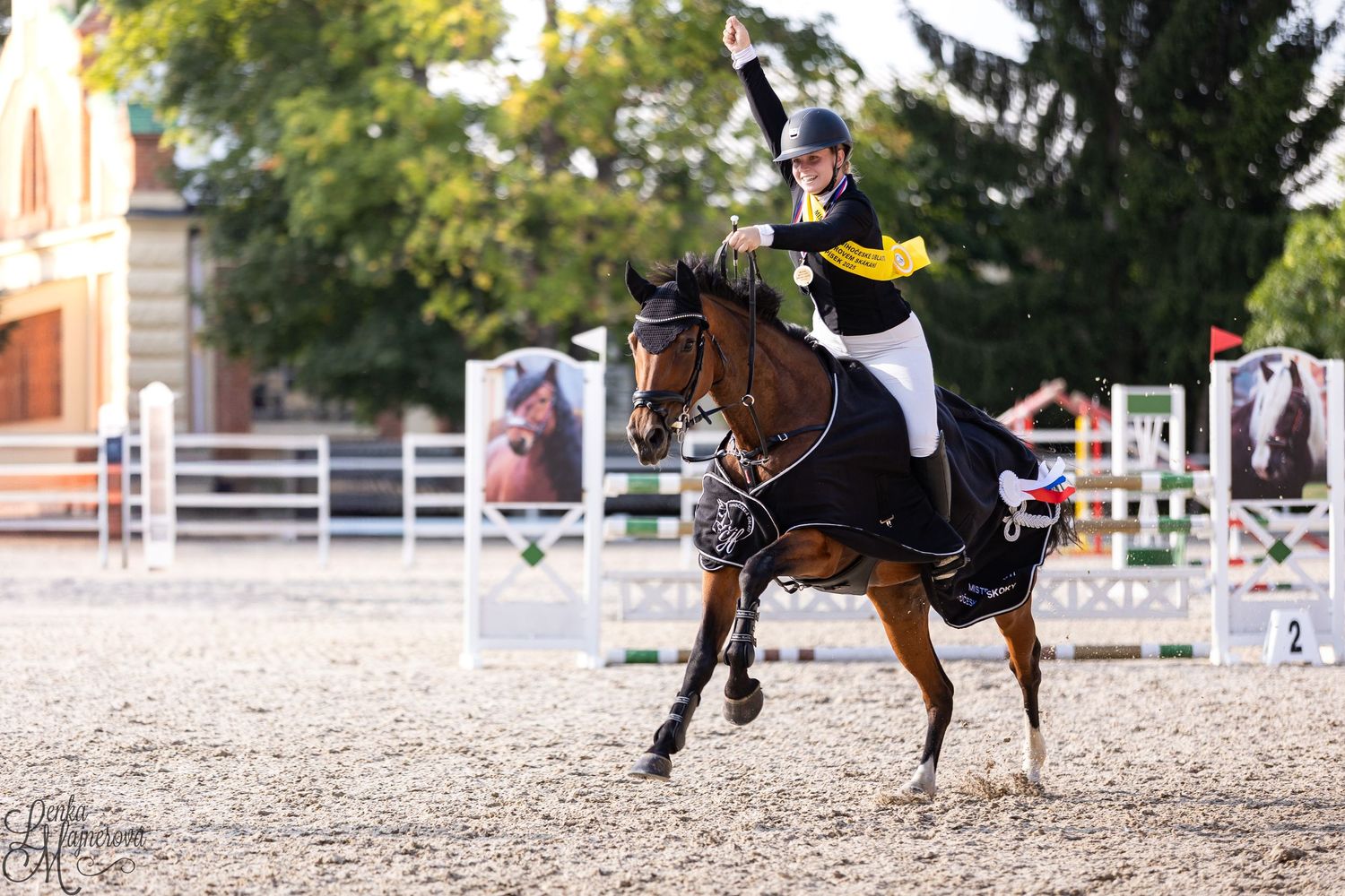 An equestrian rider performs a jumping sequence over multiple obstacles in an outdoor arena during competition.