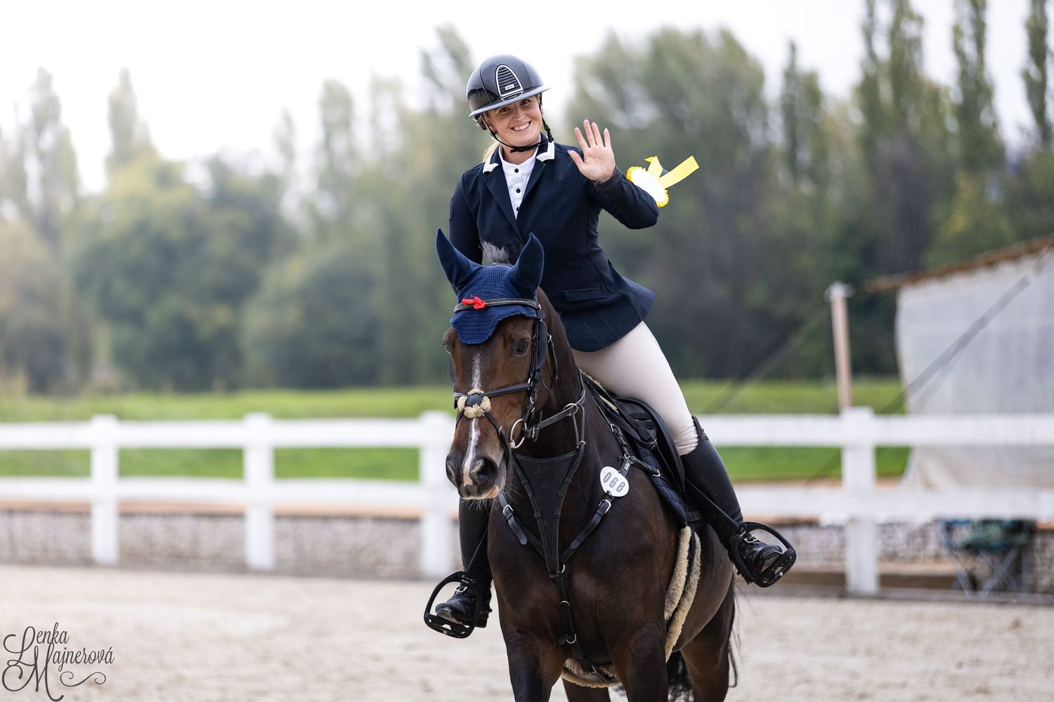 Equestrian rider performs dressage movements on a dark horse in an outdoor arena with white fencing.
