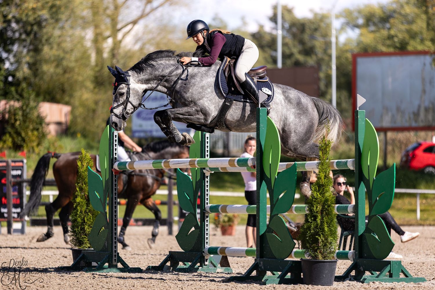 Horse and rider jumping over a series of green obstacles in an equestrian show jumping competition.