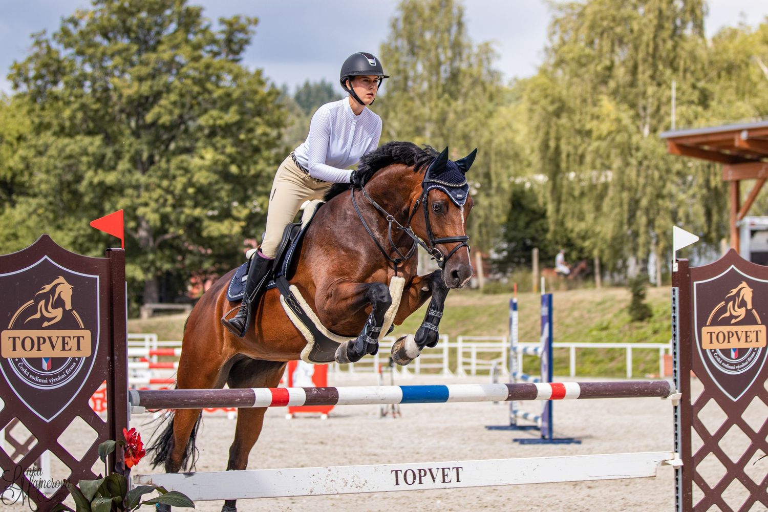 Show jumper and bay horse soaring over competition fence with branded decorative barriers.