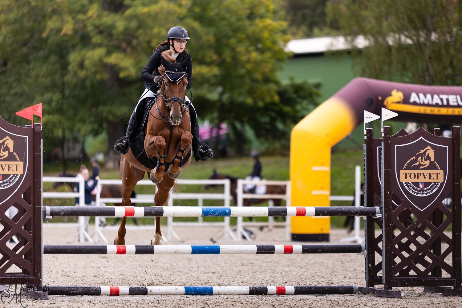 Equestrian rider navigates a horse through a series of show jumping obstacles on an outdoor course.