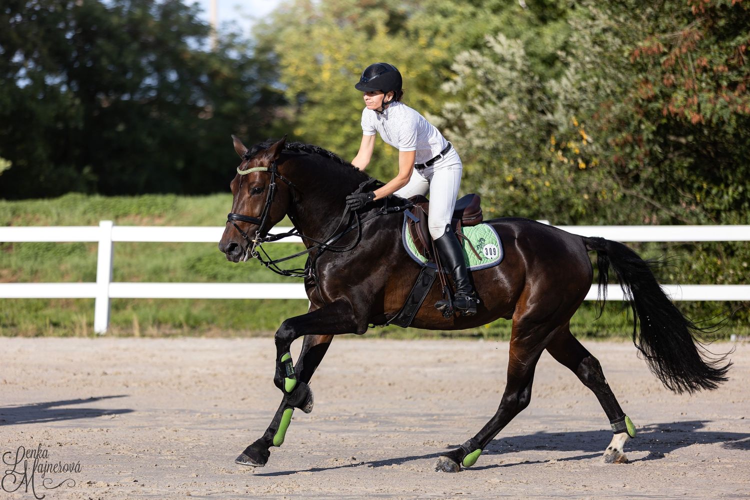 Close-up view of horse legs and hooves galloping on a sandy riding arena during equestrian training.