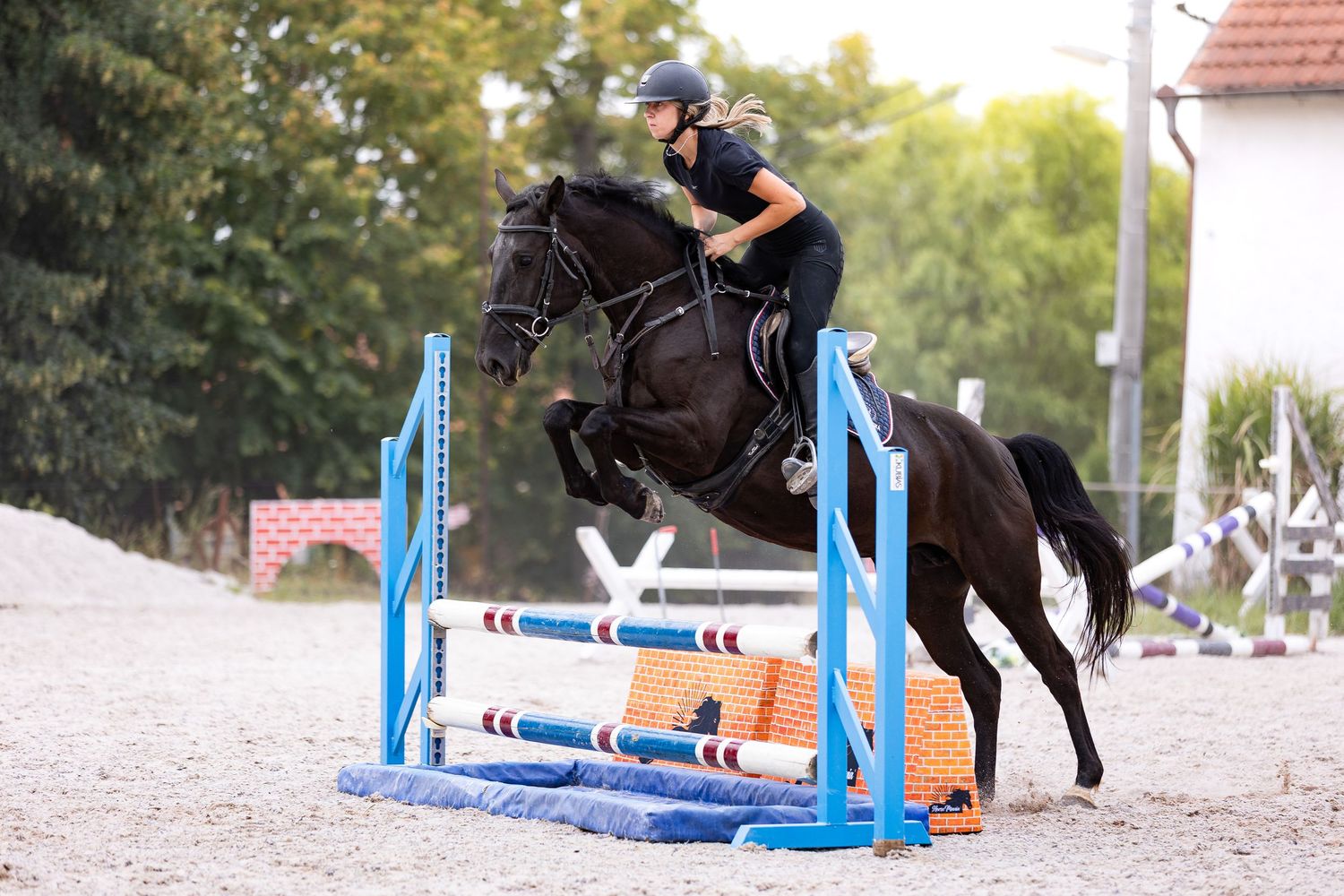 A horse and rider sequence showing progression over blue and white jumping obstacles during an equestrian competition.