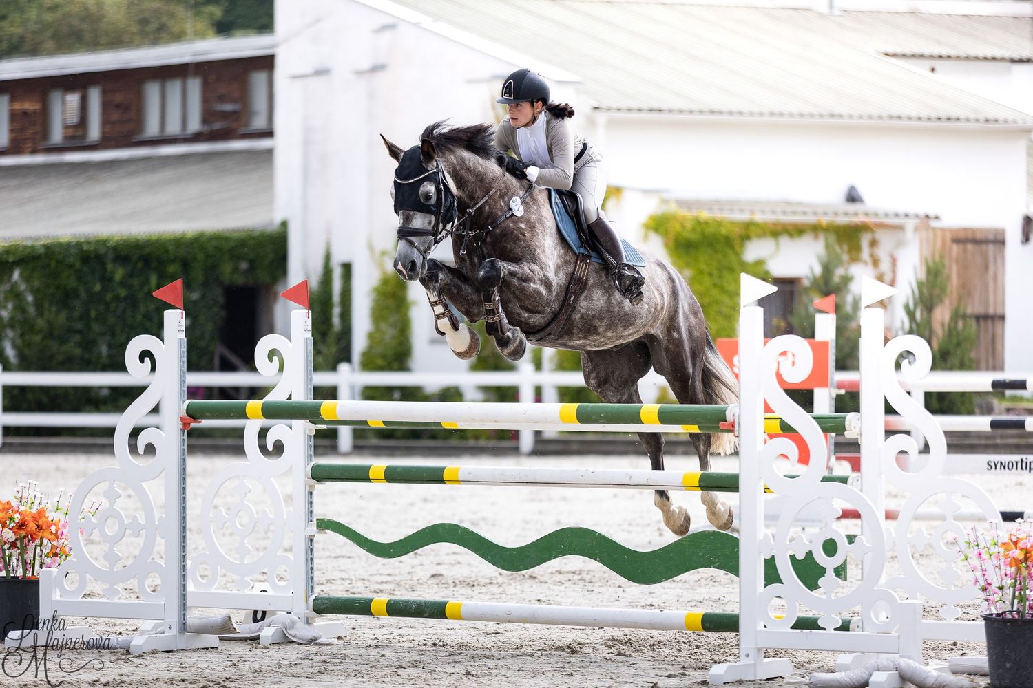 Multiple equestrian jumps set up in sequence on a sandy arena during a show jumping event.