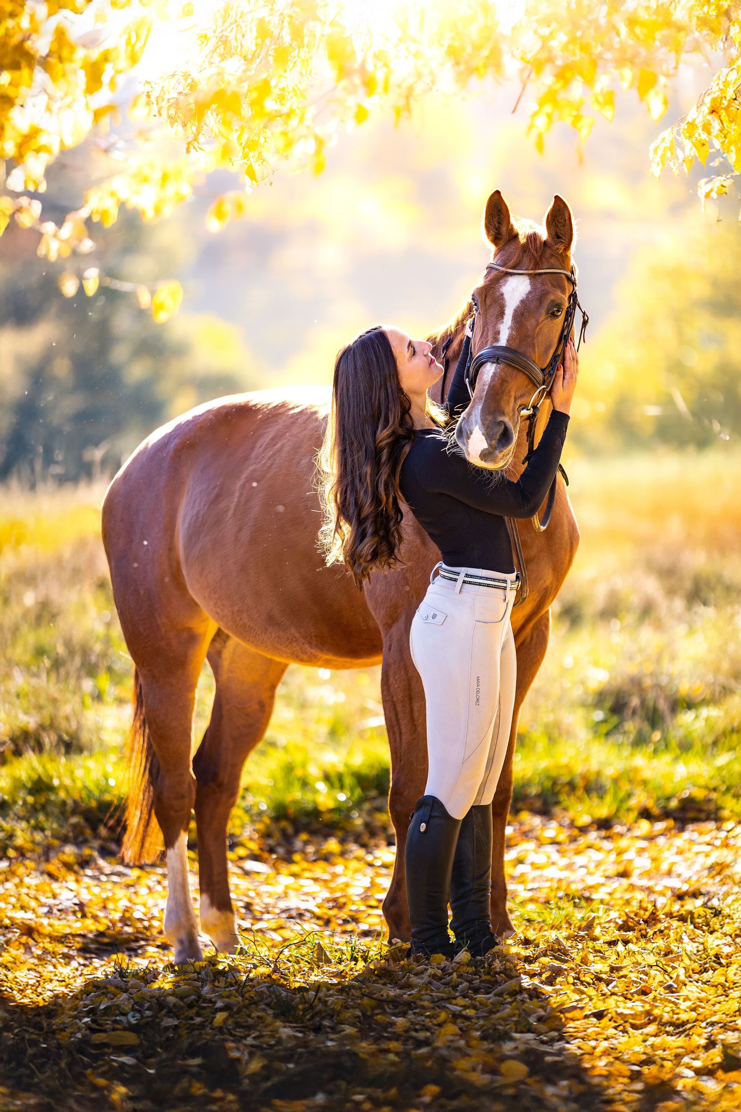 Sequence of autumn photos showing horses standing in golden sunlit forest with fallen leaves on ground.