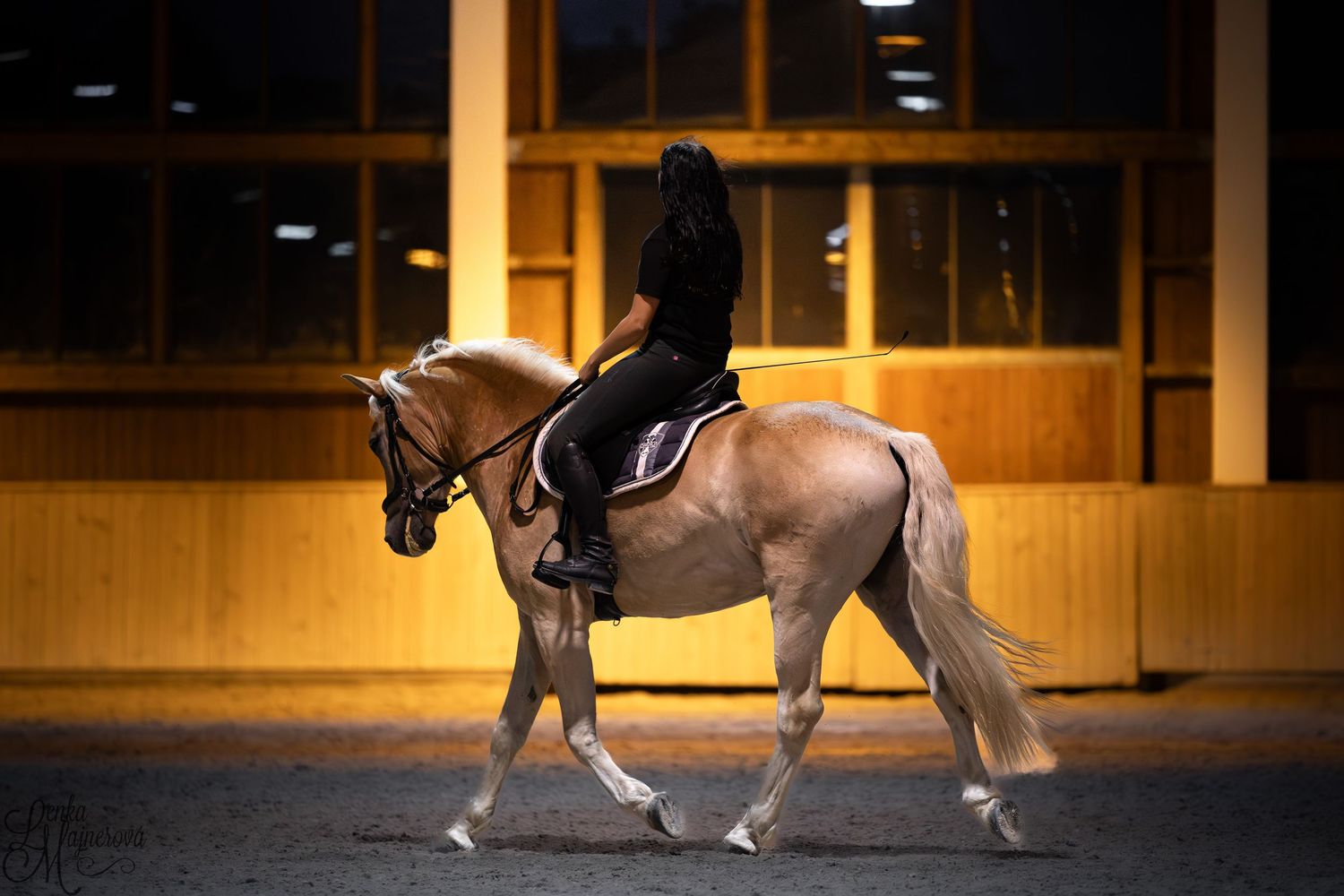 A dressage horse performs an elegant movement in an indoor arena with warm lighting.