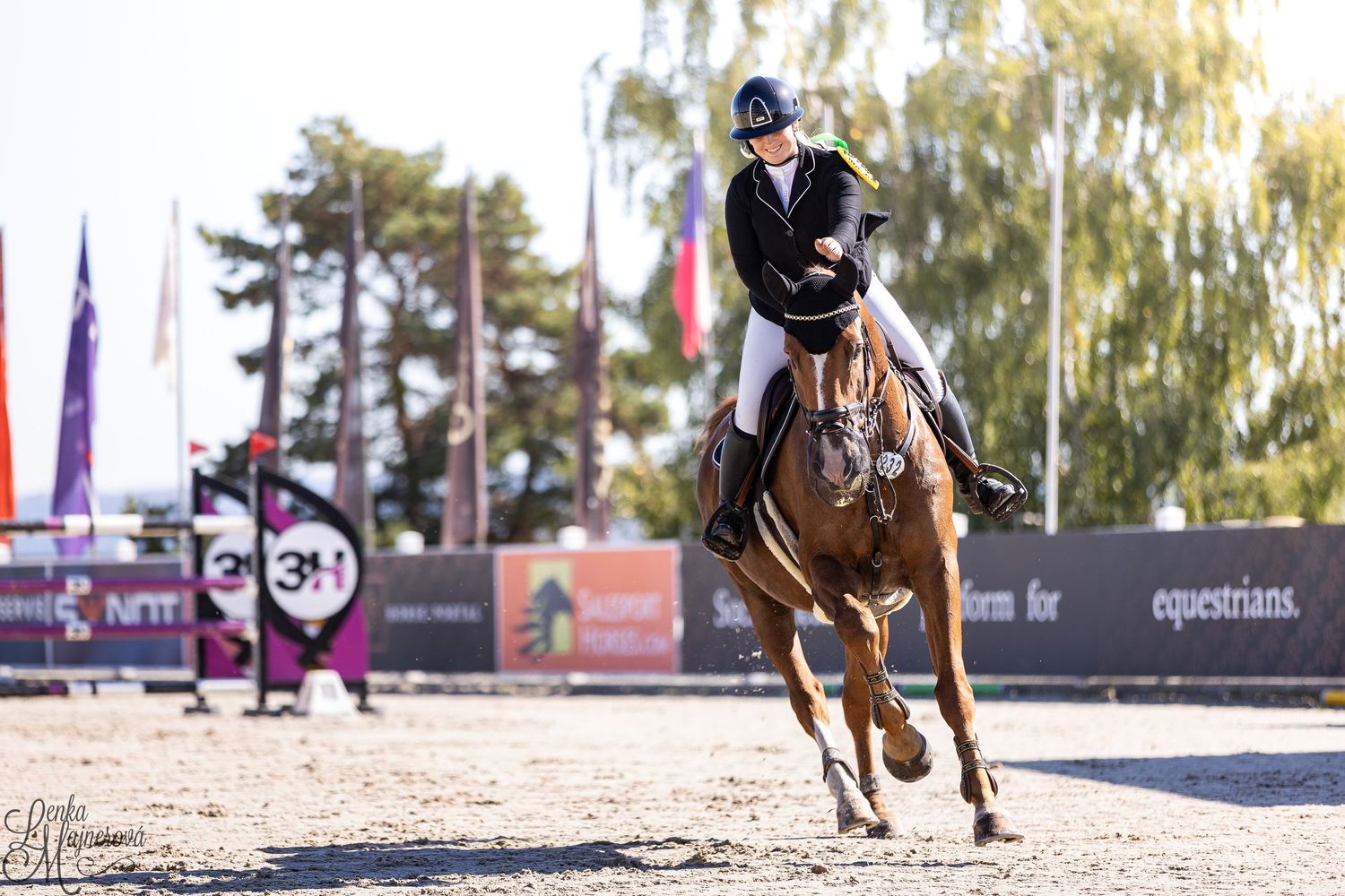 Equestrian rider jumping over obstacle during competition at outdoor arena with trees in background.