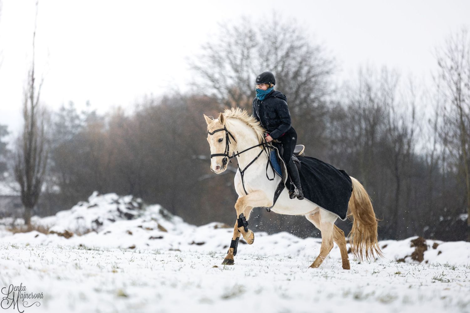 A majestic palomino horse and rider galloping through a snowy winter landscape.