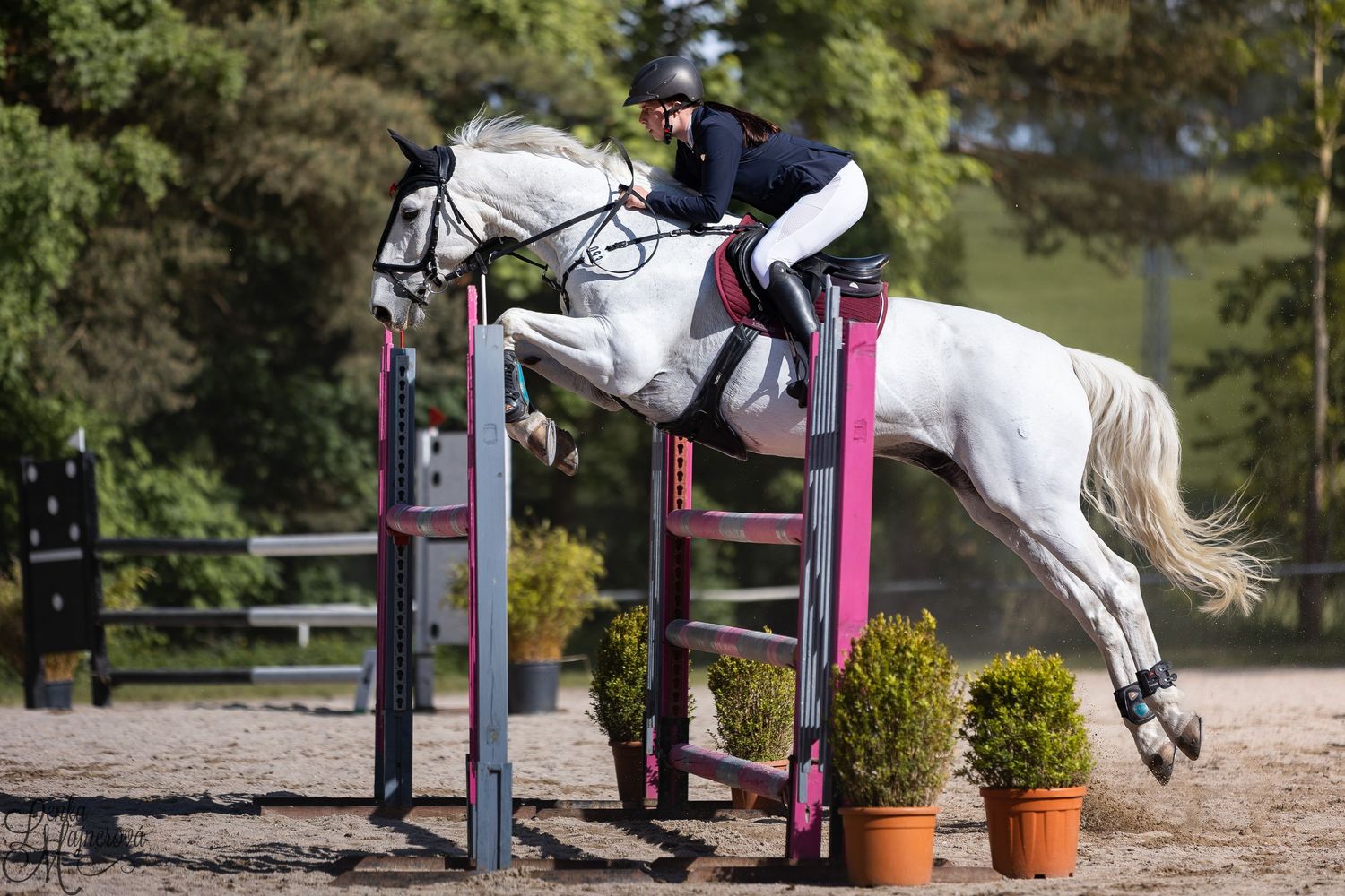Horse and rider clearing a show jumping fence during an equestrian competition.