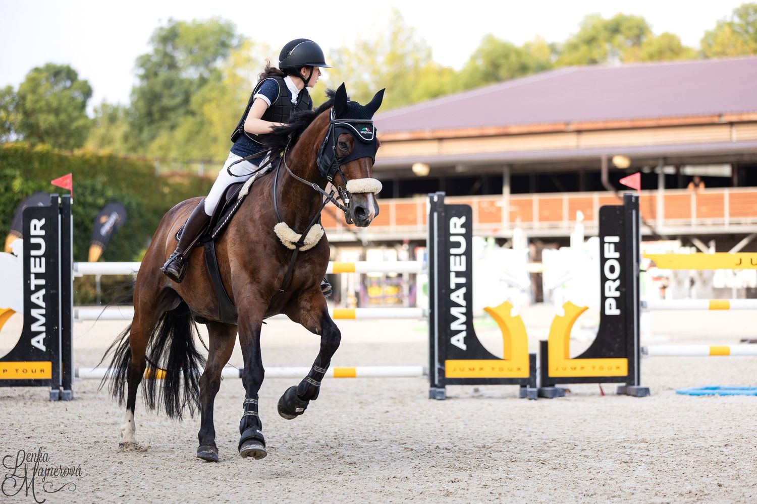 A rider in black helmet and jacket jumps a dark horse over show jumping rails at an equestrian competition.