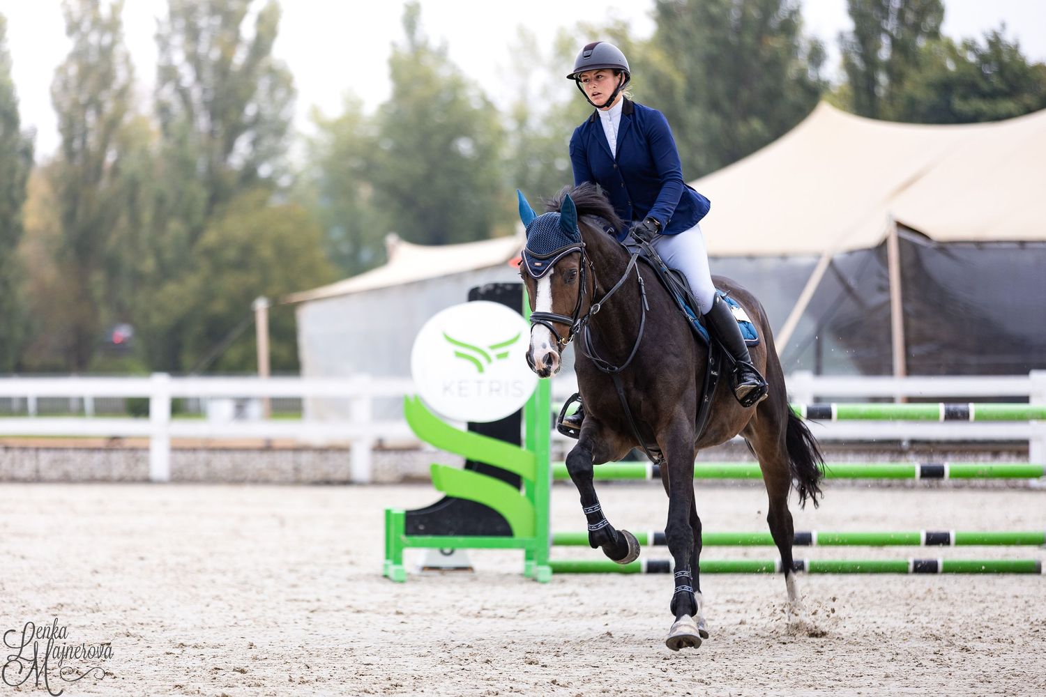 Equestrian rider in navy show attire guides horse through dressage competition in outdoor arena.