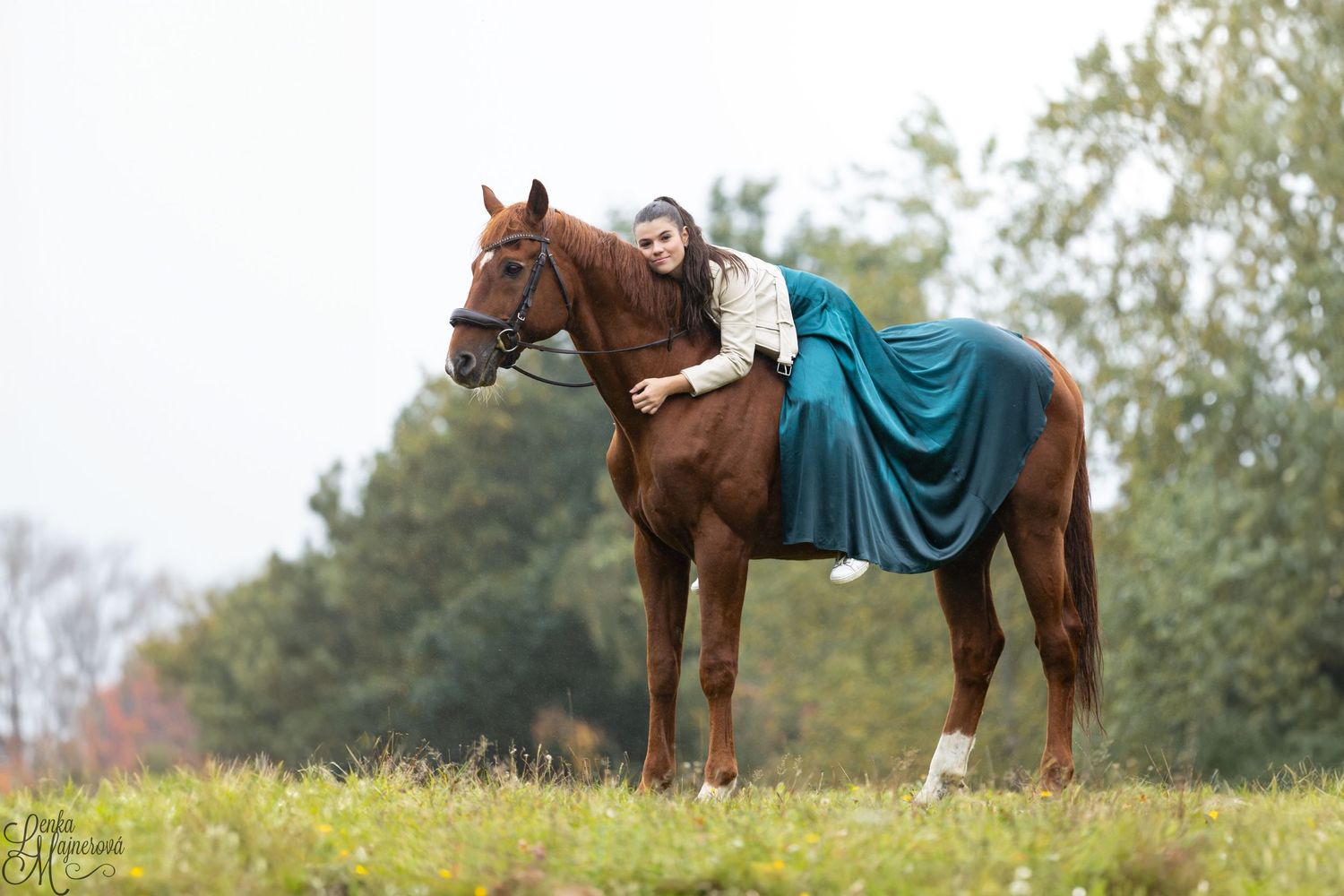 A chestnut horse with turquoise blanket stands in a grassy field.