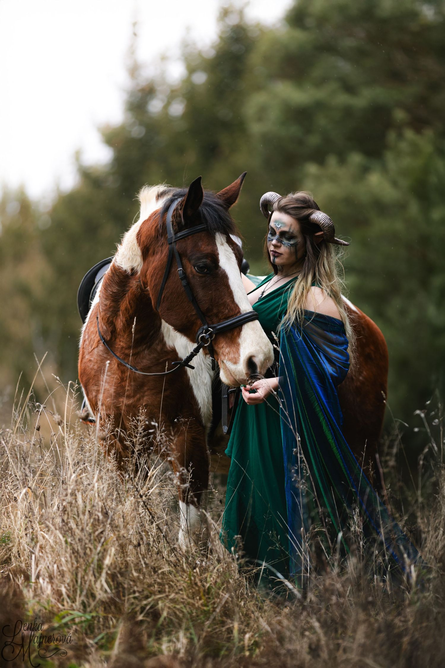 Brown and white horse with fantasy-themed equine photography in a meadow.