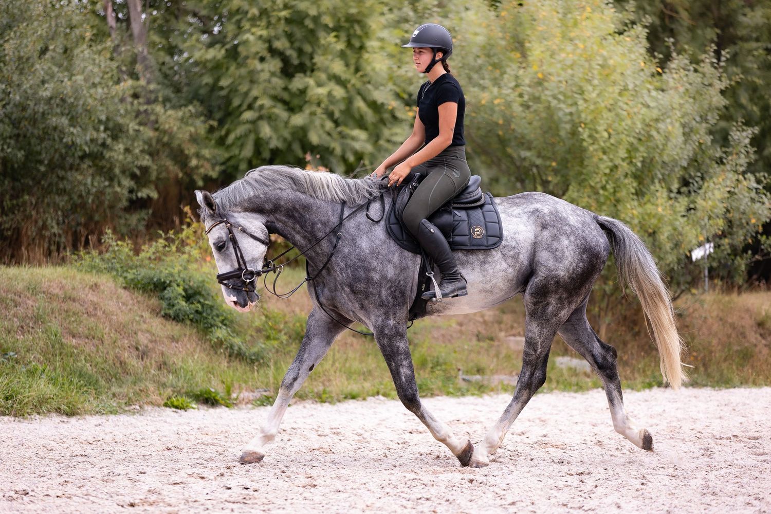 Sequence of photos showing a dappled gray horse in motion jumping and running in an outdoor setting.