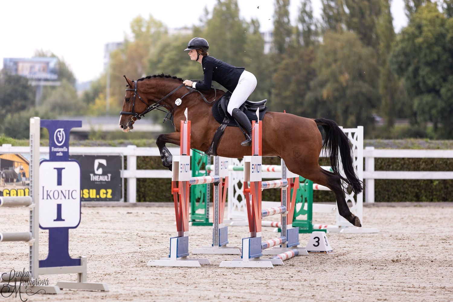 A sequence of equestrian show jumping photos showing horses clearing various colorful obstacles on a sandy arena course.