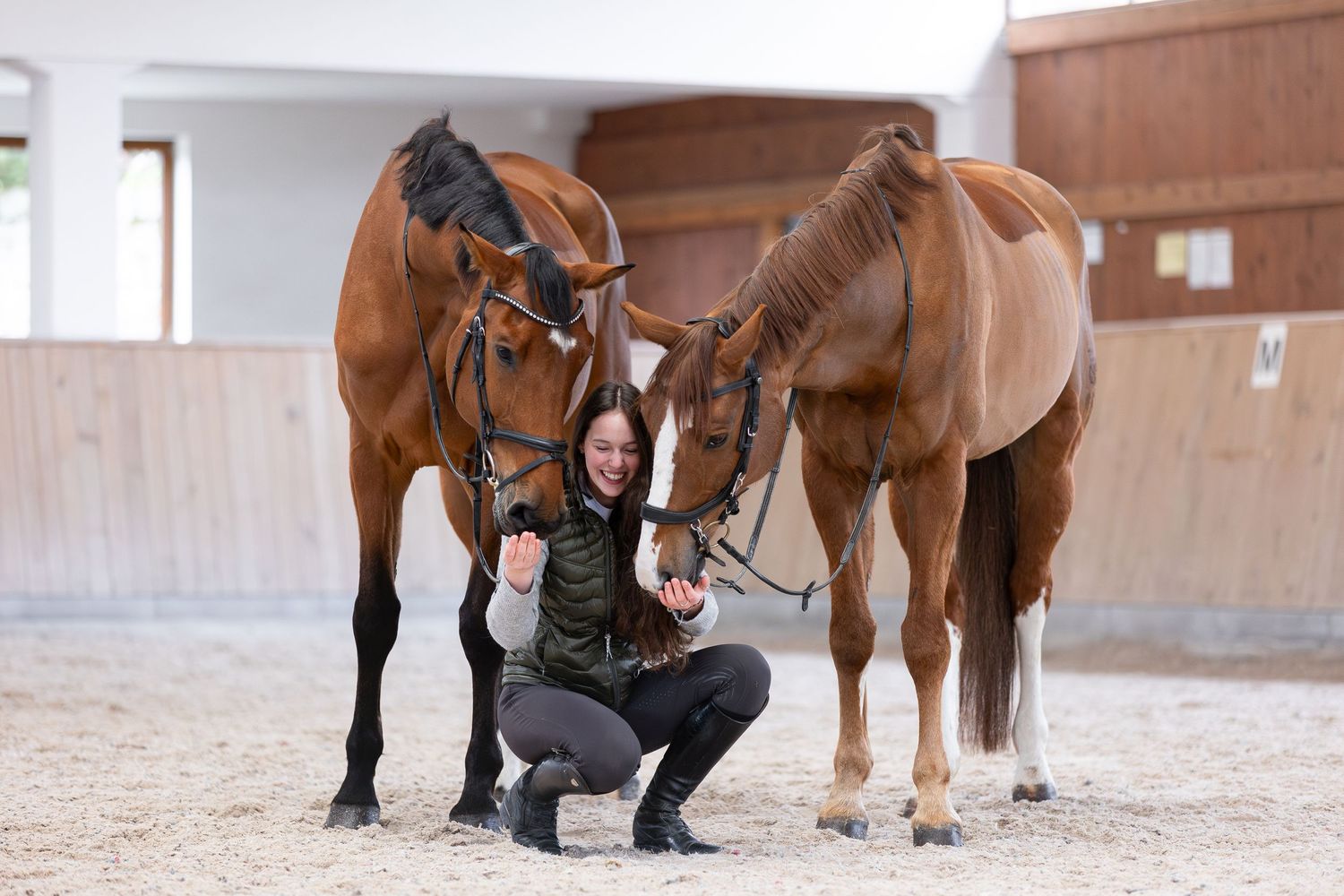 Two horses with handler in indoor riding arena.